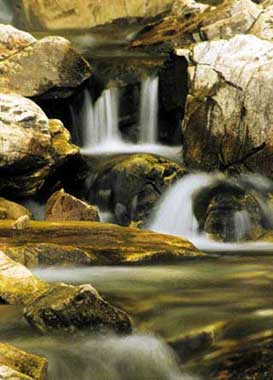 thumbnail of your picture 8