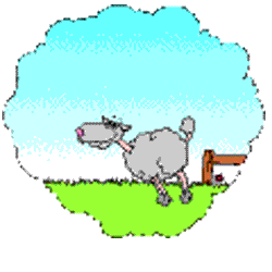 thumbnail of your picture 10