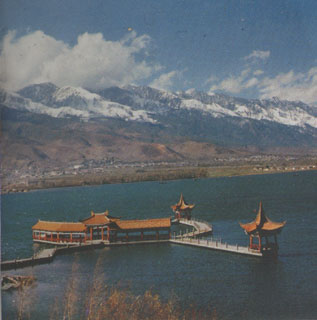 thumbnail of your picture 18