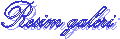 Resim galeri