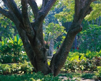 Click enlarge photo!