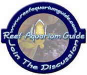 Reef Aquarium Guide Forums
