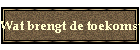 Wat brengt de toekomst?