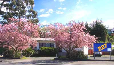 Seniornet Rooms