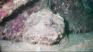http://www.geocities.com/senordiver/cabo01.jpg