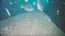 http://www.geocities.com/senordiver/cabo06.JPG