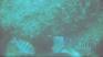 http://www.geocities.com/senordiver/cabo20.JPG
