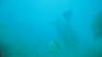 http://www.geocities.com/senordiver/cabo23.JPG