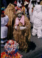 WEBMASTER EARL IN ROPE SENSAY