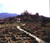 staugustinruines.jpg (114743 bytes)