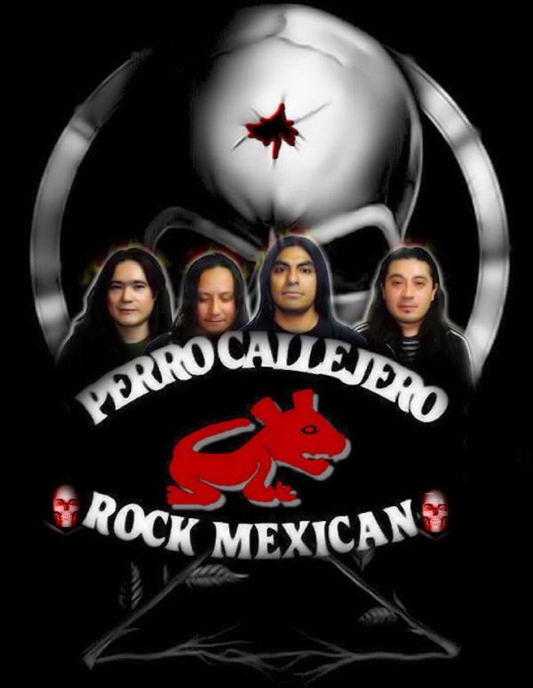 PERRO CALLEJERO