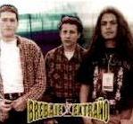 BREBAJE EXTRA�O