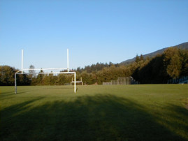 View Team Photo