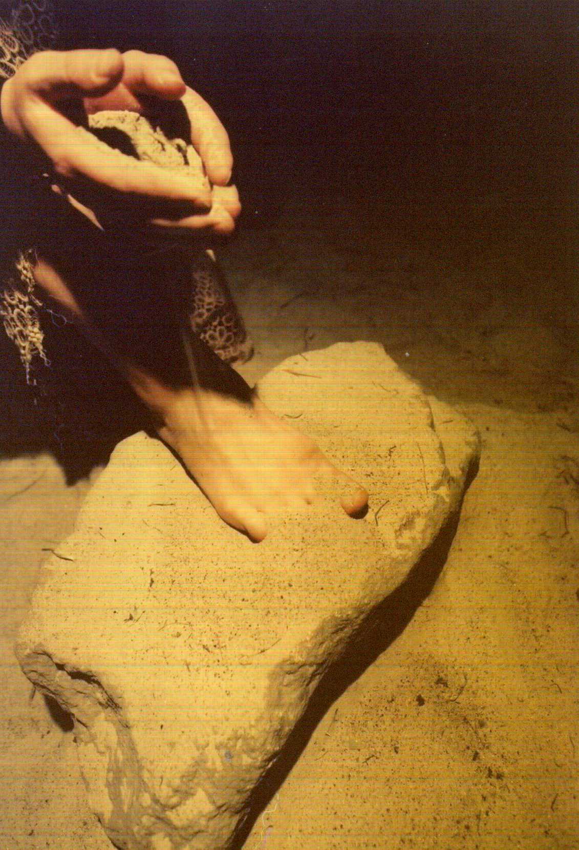 photo sprehajalec grehov