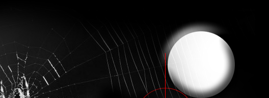 search engine positioning specialist