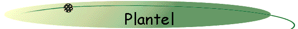 Plantel