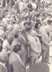 Diario Accion de General Rodriguez, politica, actualidad, noticias e informacion, personalidades e instituciones, policiales, galerias de fotos; historia de General Rodriguez, sus origenes, edificios, estancias, habitos y costumbres, anecdotas, comercios e industrias, los fundadores, antiguas instituciones, fotos e imagenes; suplementos especiales: la crisis politica, economica y social de la Argentina, los acontecimientos de Diciembre de 2001, articulos y entrevistas; Emigracion: toda la informacion destinada a aquellos que desean emigrar, radicarse o estudiar en el exterior, visas, pasaportes, consejos, guias, informacion util, links; Trueque: novedades e informacion, links, estructura del trueque; el casamiento de Maxima Zorreguieta y el principe Guillermo Alejandro de Holanda; Guerra de Afganistan: galeria de imagenes e informacion sobre la primera guerra del siglo XXI; el atentado a las torres Gemelas de Nueva York y dscripcion del hecho que conmovio al mundo; Empleo: consultoras, clasificados, agencias de empleo, consejos e informacion util, curriculum vitae, como confeccionarlos, noticias de actualidad; Los numeros de la crisis: Las consecuencias de la crisis politica, economica y social; estadisticas, pobreza, desnutricion, salud y asistencia; noticias regionales y provinciales, columnas y editoriales; informacion para negocios: pymes, links, empresas y negocios; Agenda Cultural con toda la informacion de cursos, universidades, talleres, escuelas y oportunidades, exposiciones de arte de la region; buscadores en Internet, Enlaces: links a los mejores sitios de educacion, cultura, arte, biografias, politica, interes general, web, Links del Diario Accion: RMS Titanic, su historia, su tragico viaje inaugural; historias, testimonios, documentos y articulos sobre el naufragio; links y sitios sobre el tema; la pelicula de Cameron, fotos e imagenes; suplementos especiales y muchisimo mas