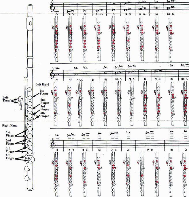 flutecharts