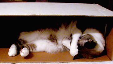 Cat Ballou