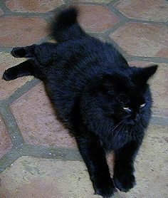 Pancake