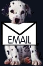 Email puppy