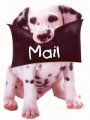 Email puppy
