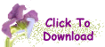 Download Irises