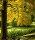 Our Park