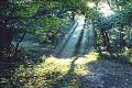 El Sol