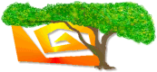 Mesquite tree