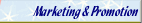Marketing and Promotion