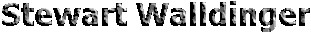 Stewart Walldinger