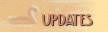 updates