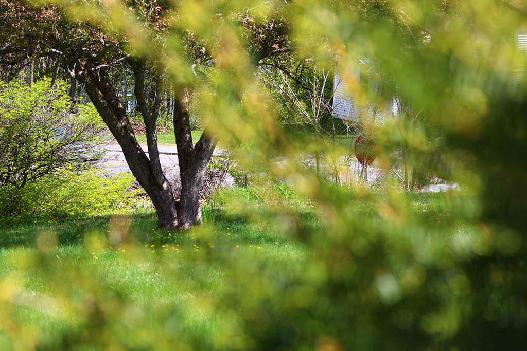 Hidden