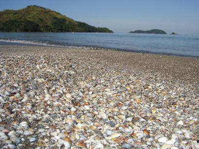 praiadeconchas