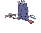 urubu