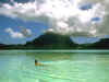 swim.jpg (43017 bytes)