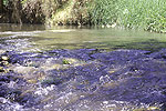 Rio vallejuelo