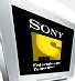 Sony Entertainment Television