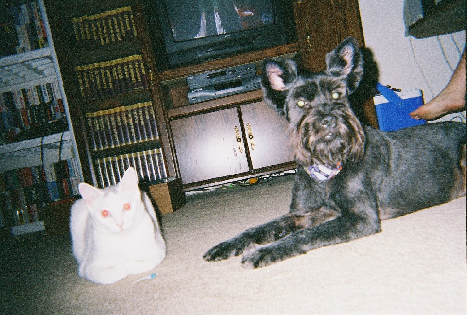 Wilson and Ally