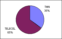 Investment in 1995