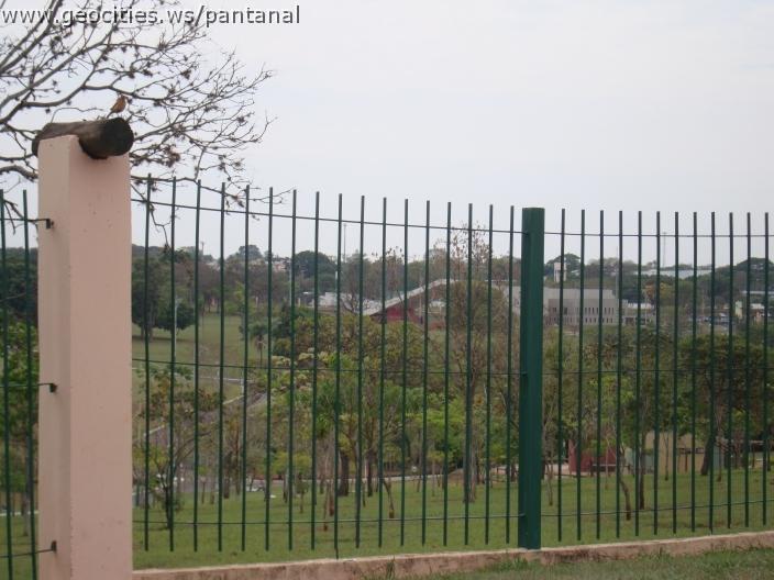 011_geocities_ws_pantanal.jpg
