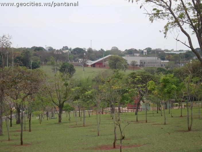 015_geocities_ws_pantanal.jpg