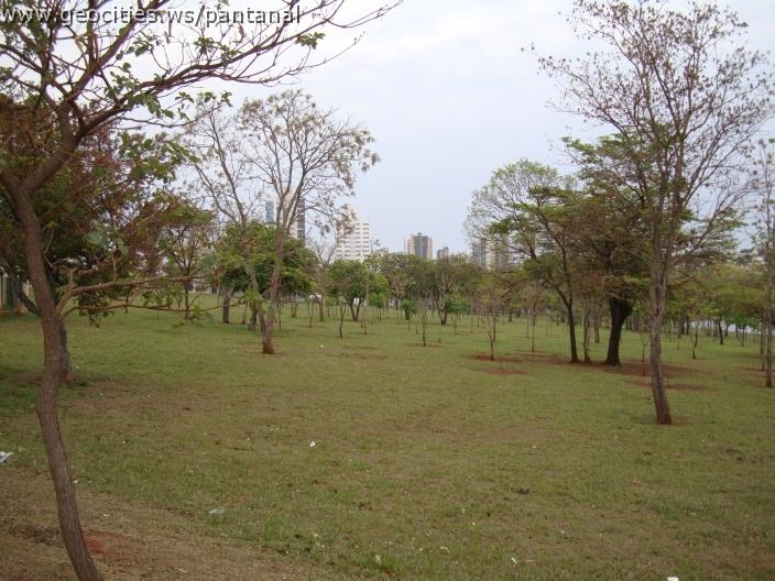 030_geocities_ws_pantanal.jpg