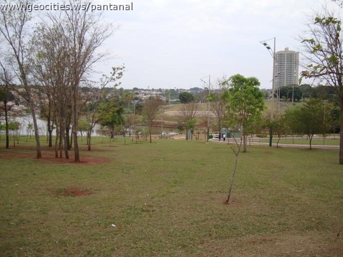 031_geocities_ws_pantanal.jpg