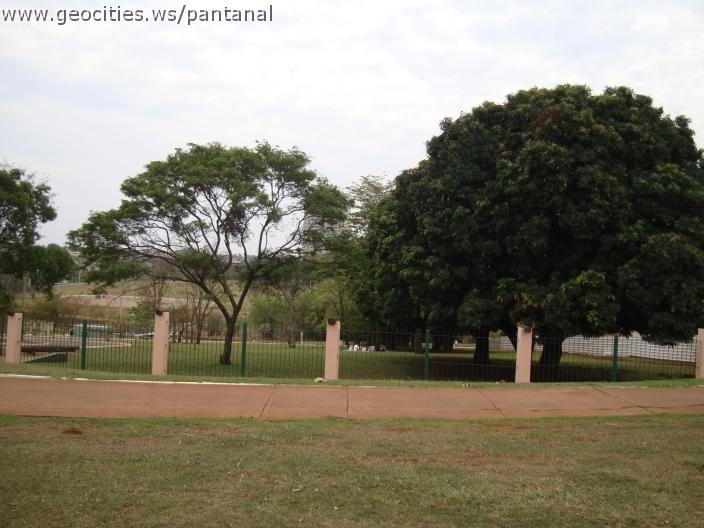 039_geocities_ws_pantanal.jpg