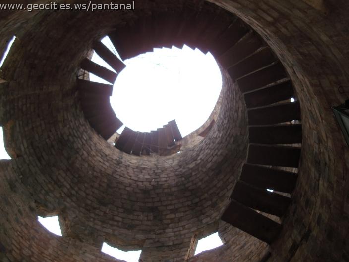 090_geocities_ws_pantanal.jpg