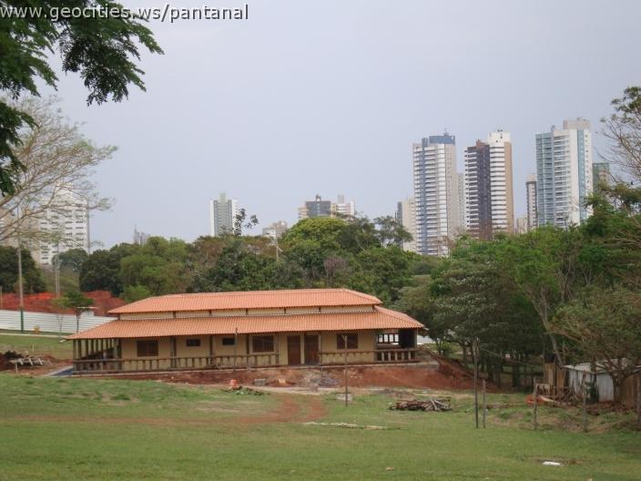 105_geocities_ws_pantanal.jpg