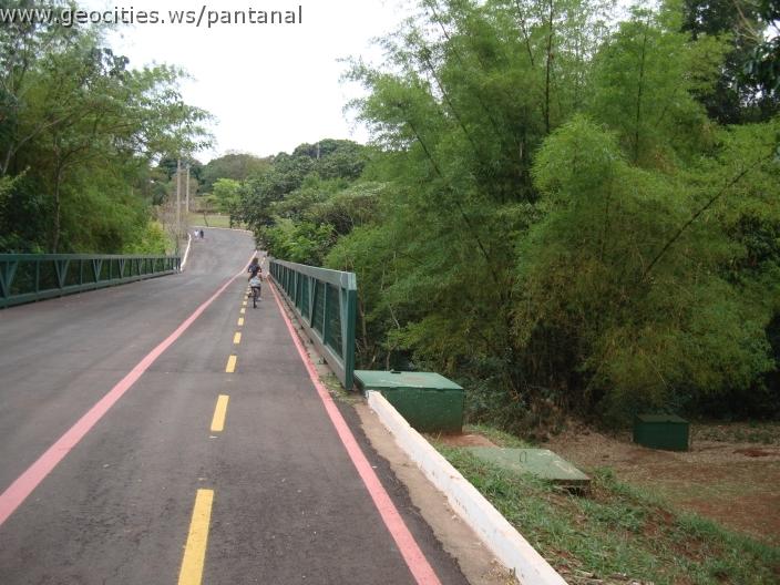 115_geocities_ws_pantanal.jpg