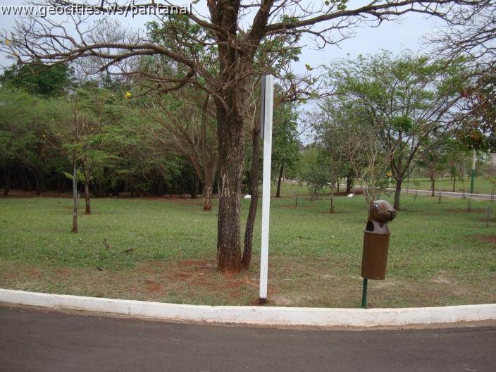 128_geocities_ws_pantanal.jpg